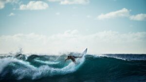 surfer sur l'imprévu